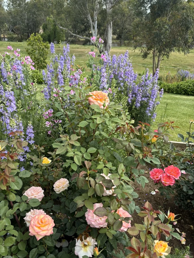 Additional image 16 of 21 Keera Street, Bingara NSW 2404