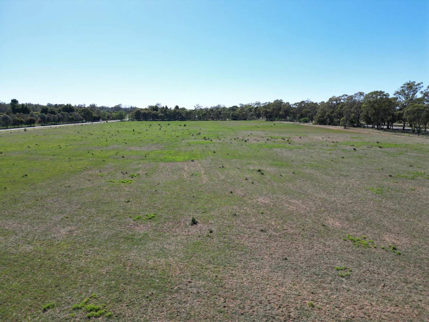 Additional image 4 of 54 Cobrawonga Rd, Cobram East VIC 3644