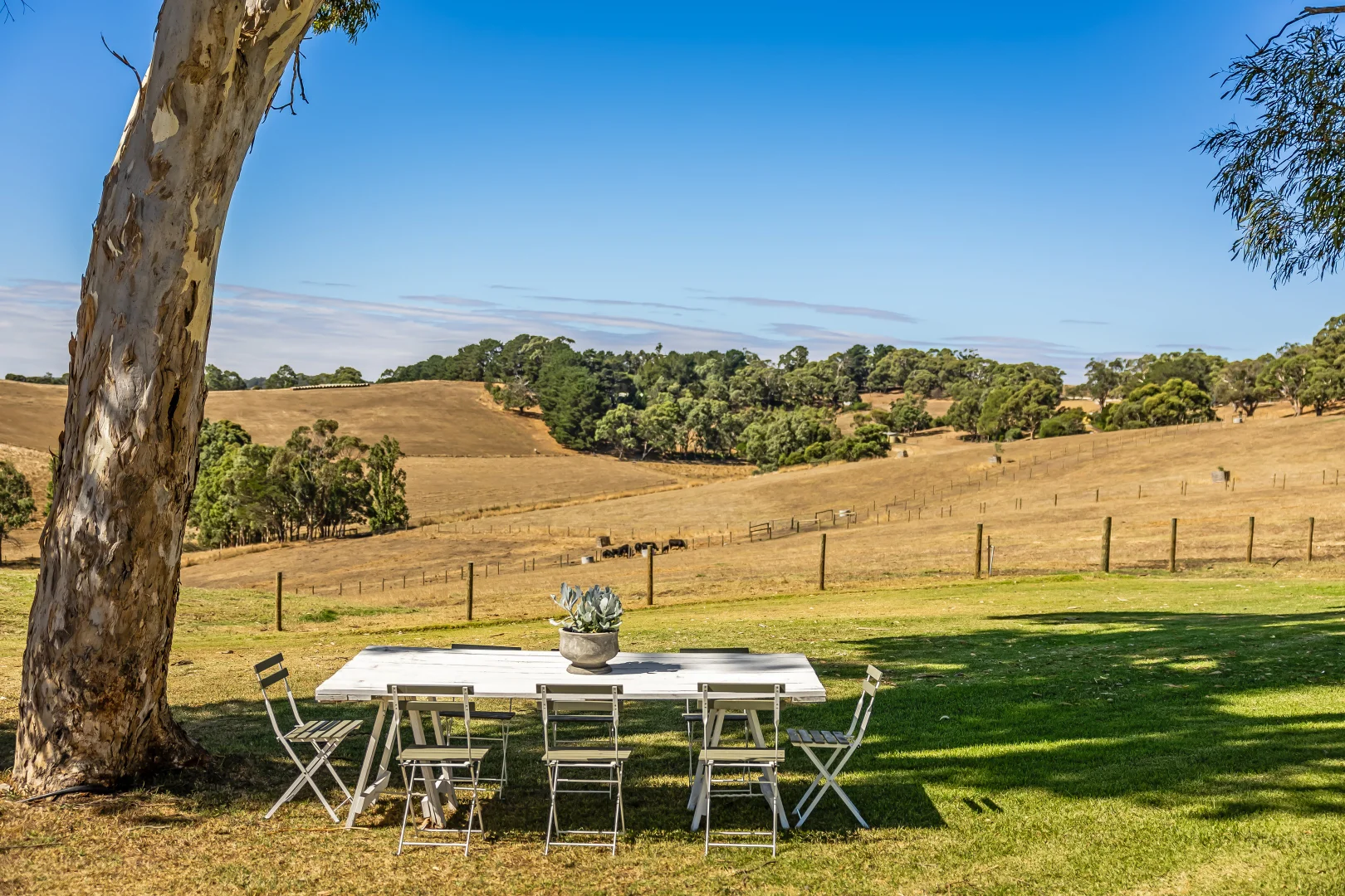 Additional image 24 of 224 Nicol Road, Meadows SA 5201