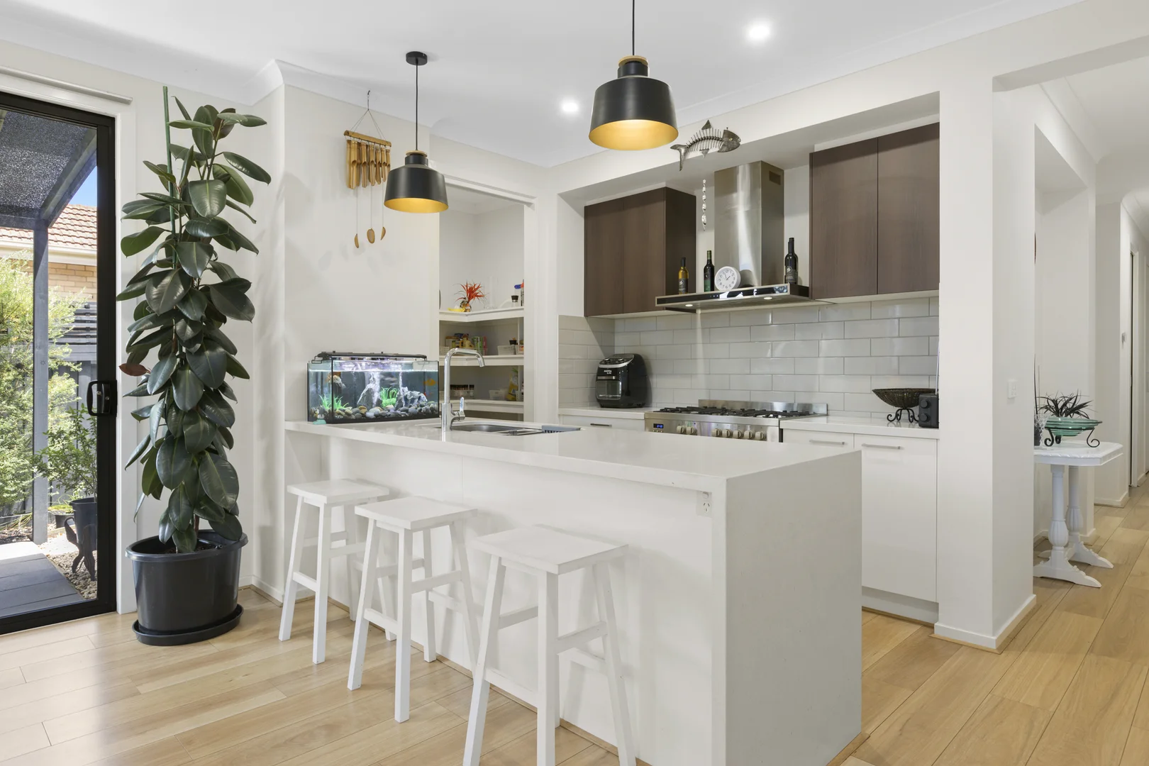 Additional image 6 of 6A Ivy Street, Parkdale VIC 3195