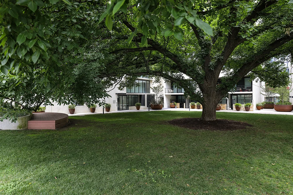 Additional image 13 of 219/43 Cooyong Street, Braddon ACT 2612