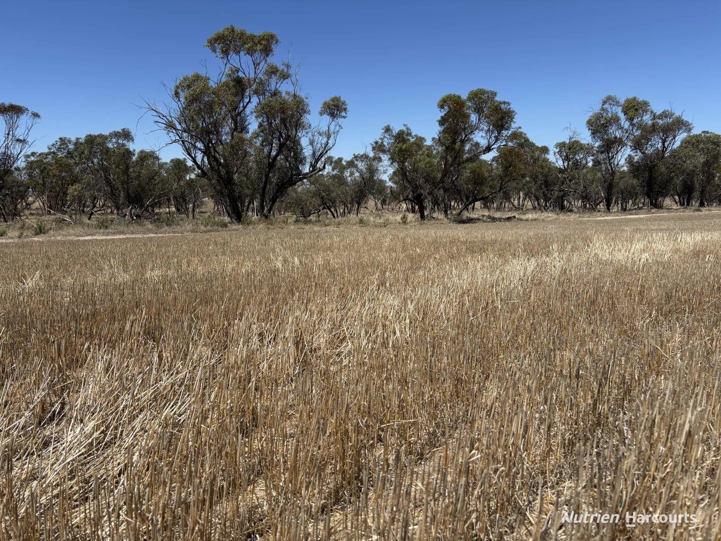 Additional image 11 of . 'Jurocken & Corrylyn', Dowerin WA 6461