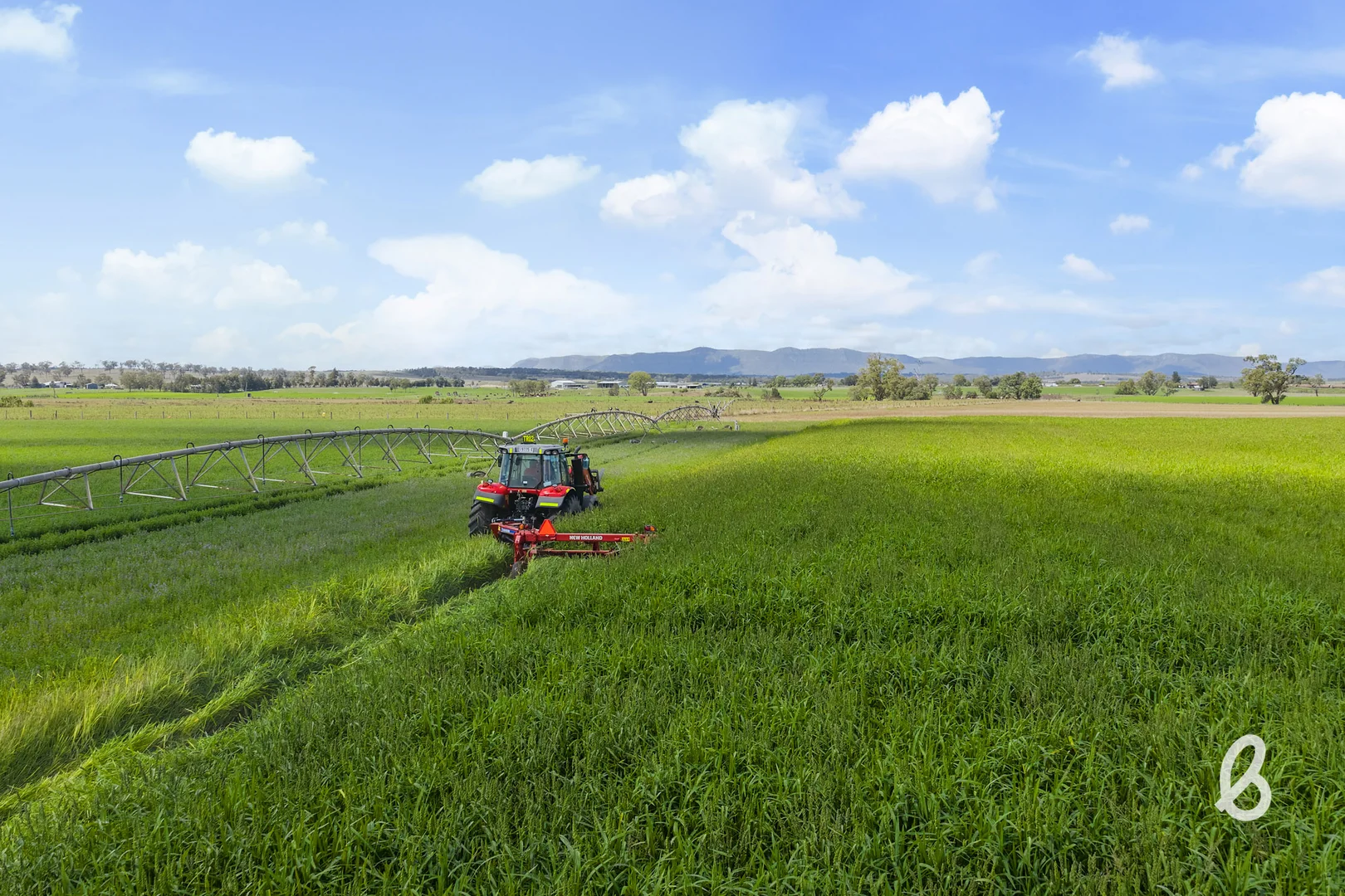 Additional image 41 of 204 Racecourse Lane, Singleton NSW 2330