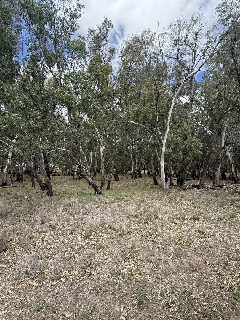 Additional image 57 of 506 North Forbes Rd, Condobolin NSW 2877