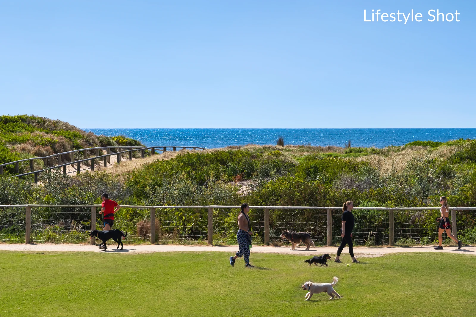 Additional image 19 of 21 Curl Curl Parade, Curl Curl NSW 2096