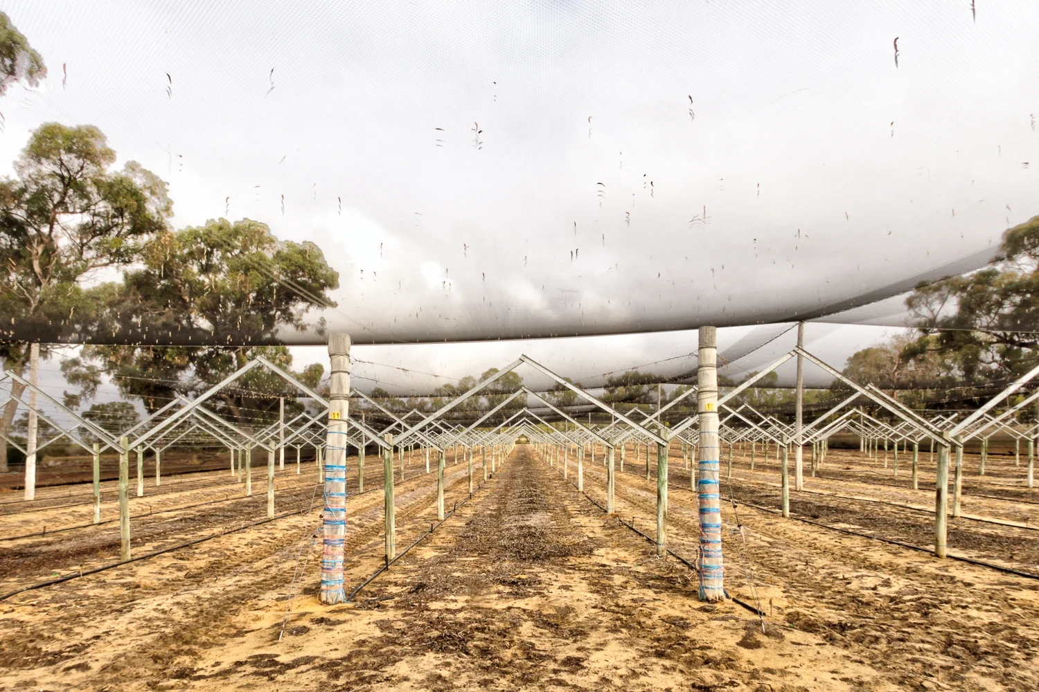 Additional image 20 of 317 Rangeview Drive, Wanerie WA 6503