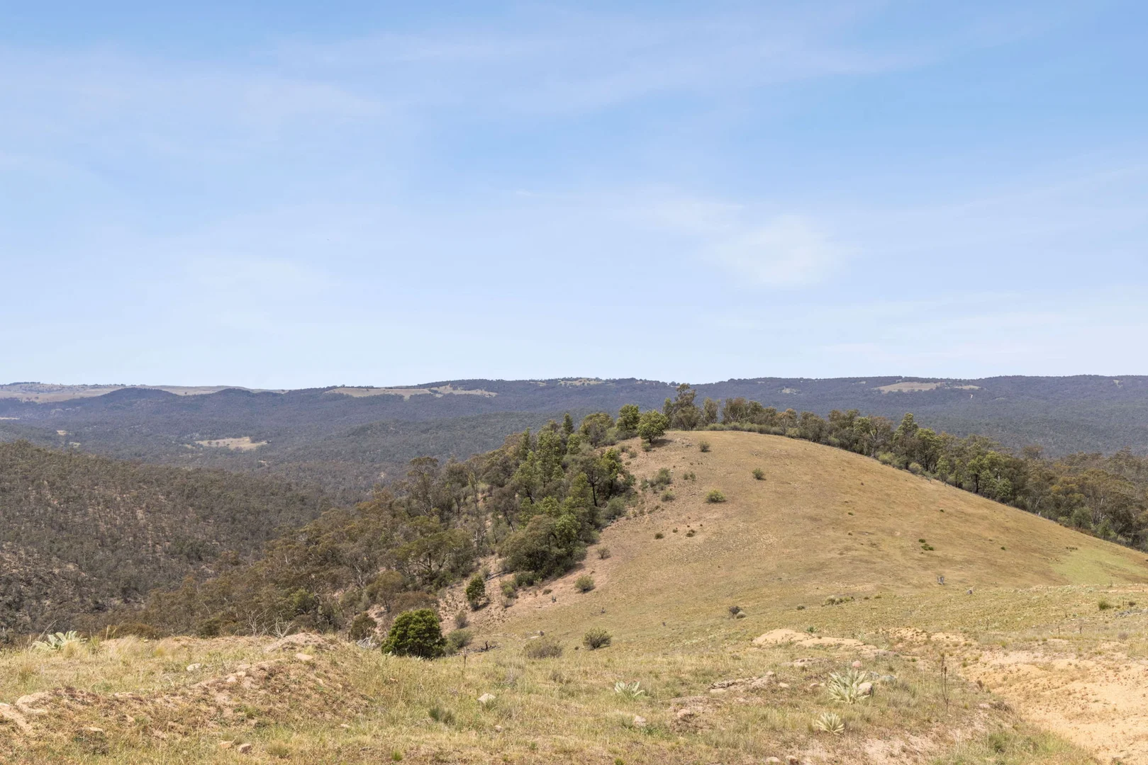 Additional image 6 of 255 Barkers Lake Road, Bungarby NSW 2630