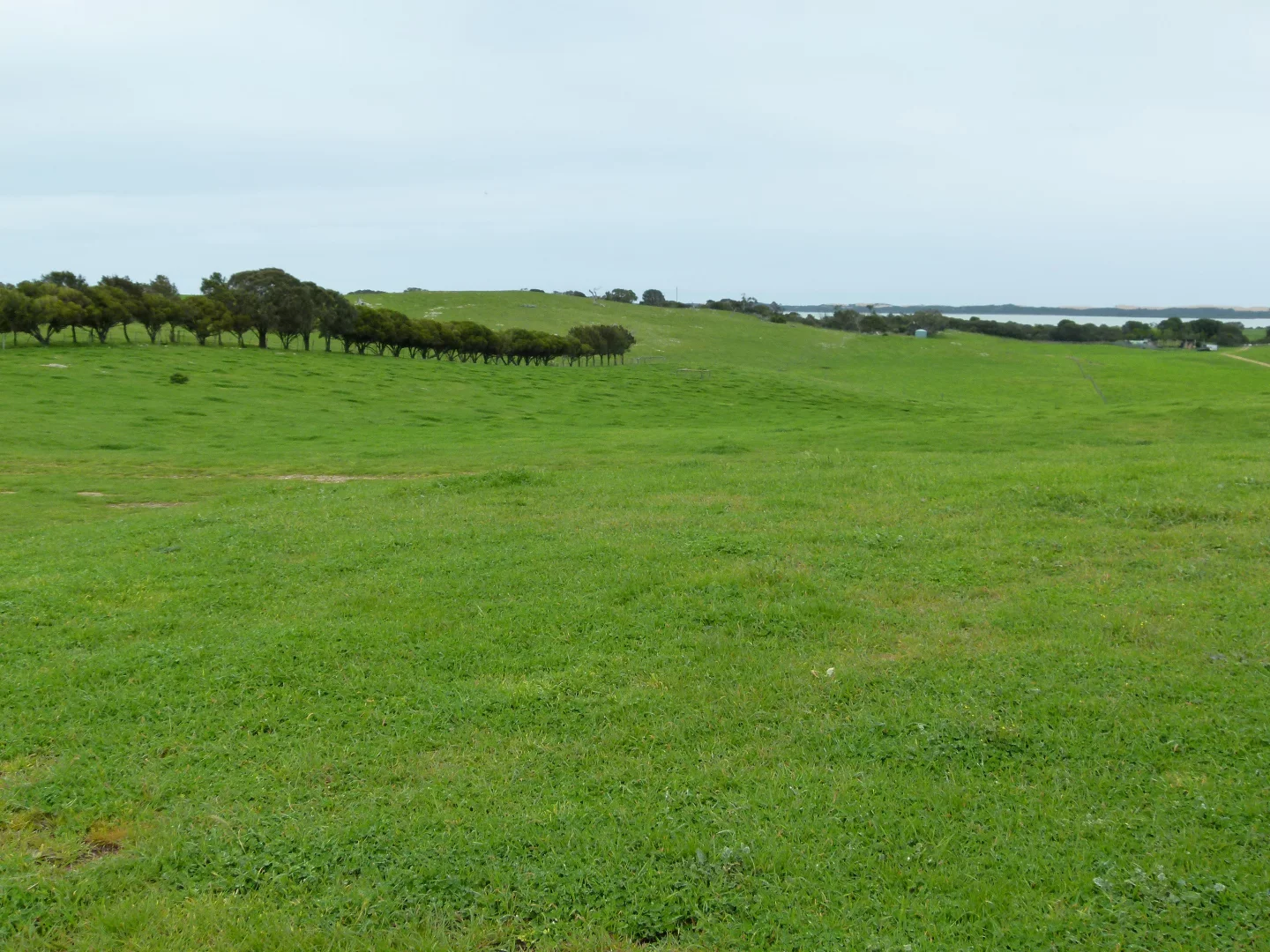 Additional image 20 of 1683 Canunda Frontage Road, Tantanoola SA 5280