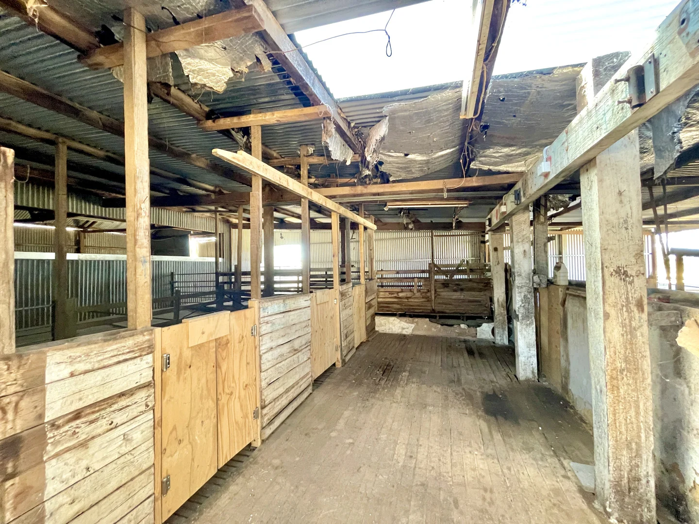 Additional image 17 of 860 Gerschwitz Road, Cungena SA 5660