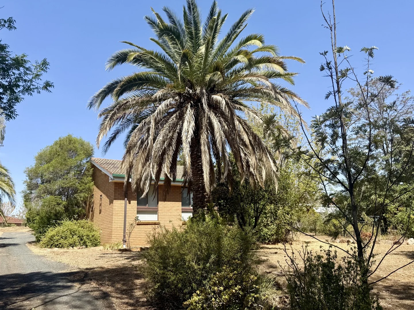 Additional image 3 of 26 Fitches Lane, Grenfell NSW 2810