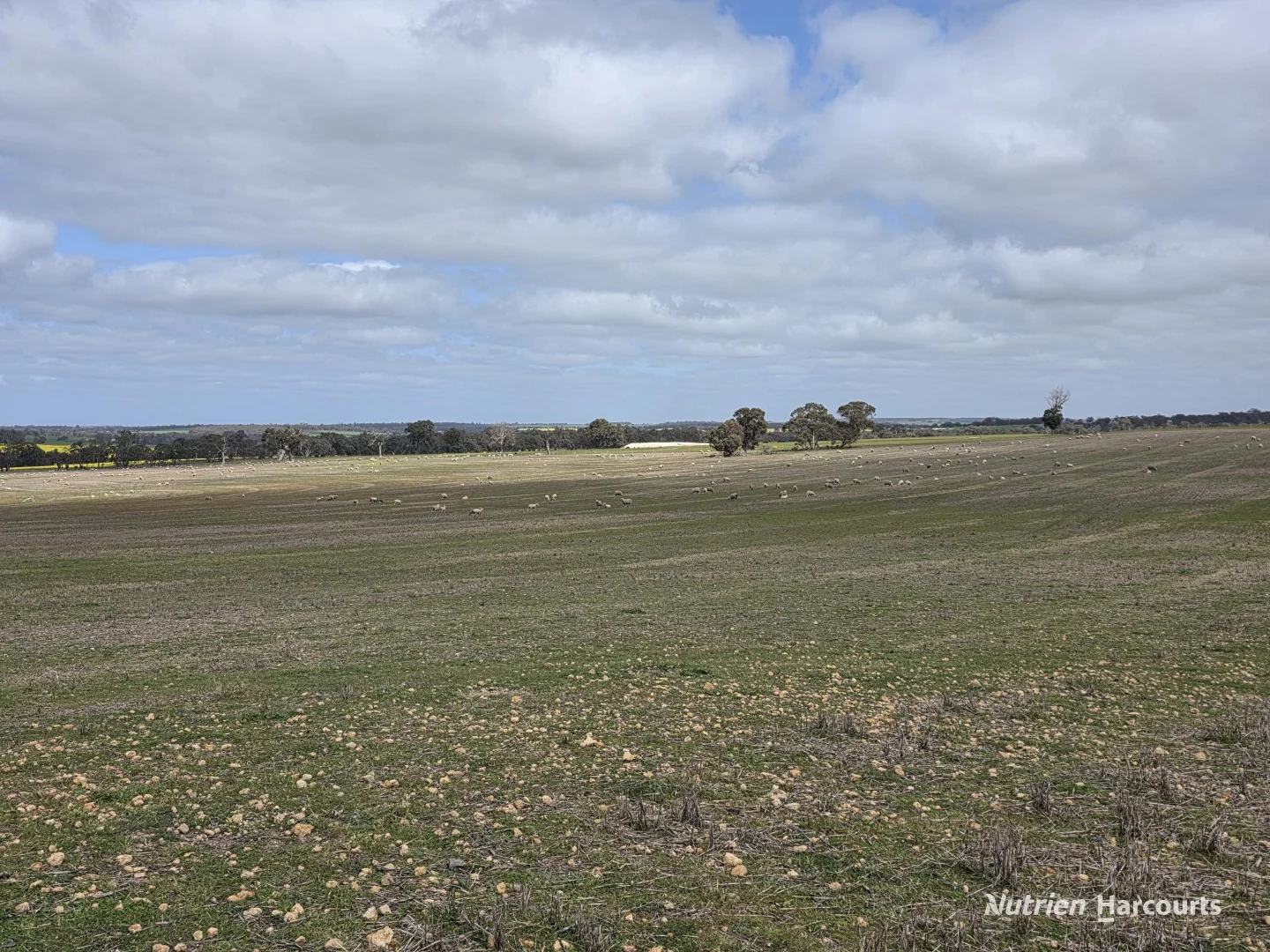 Additional image 25 of Lot 347 Yarralena Road, Cranbrook WA 6321