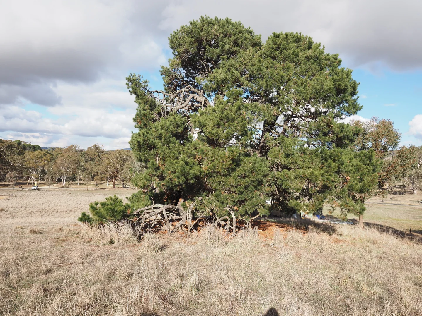 Additional image 7 of Lot 2 Green Street, Elmhurst VIC 3469