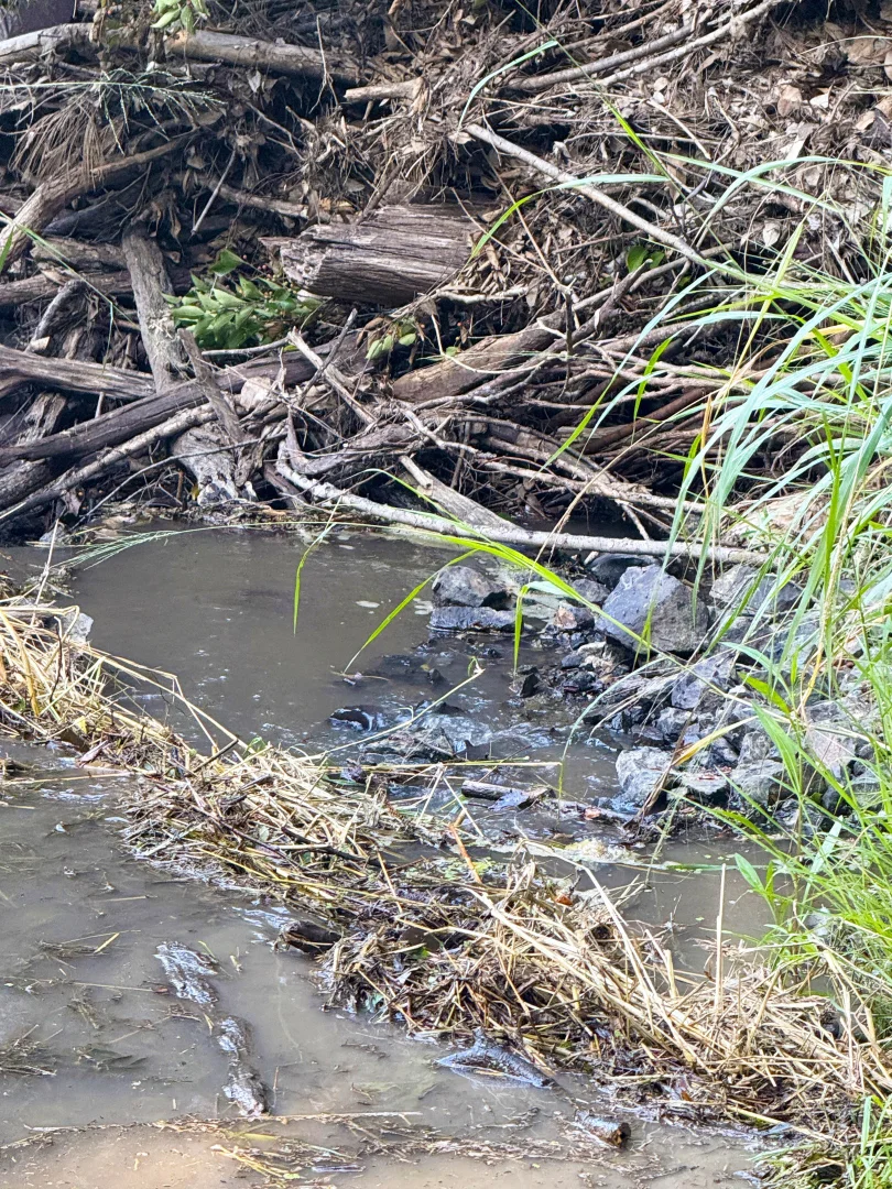 Additional image 12 of Burnett Highway, Goomeri QLD 4601