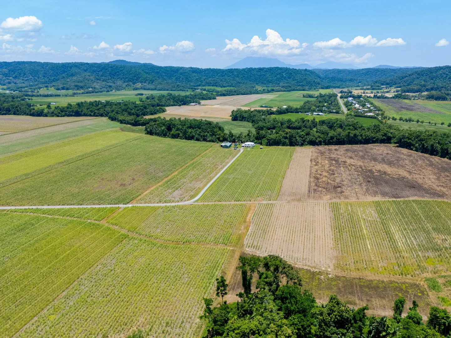 Additional image 26 of 23 D'Addona Road, Miallo QLD 4873