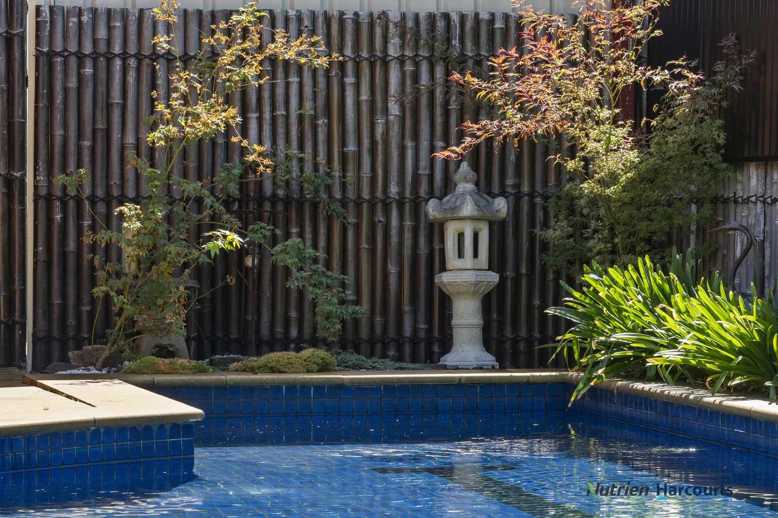 Additional image 26 of 16 Mitchell Court, Mansfield VIC 3722