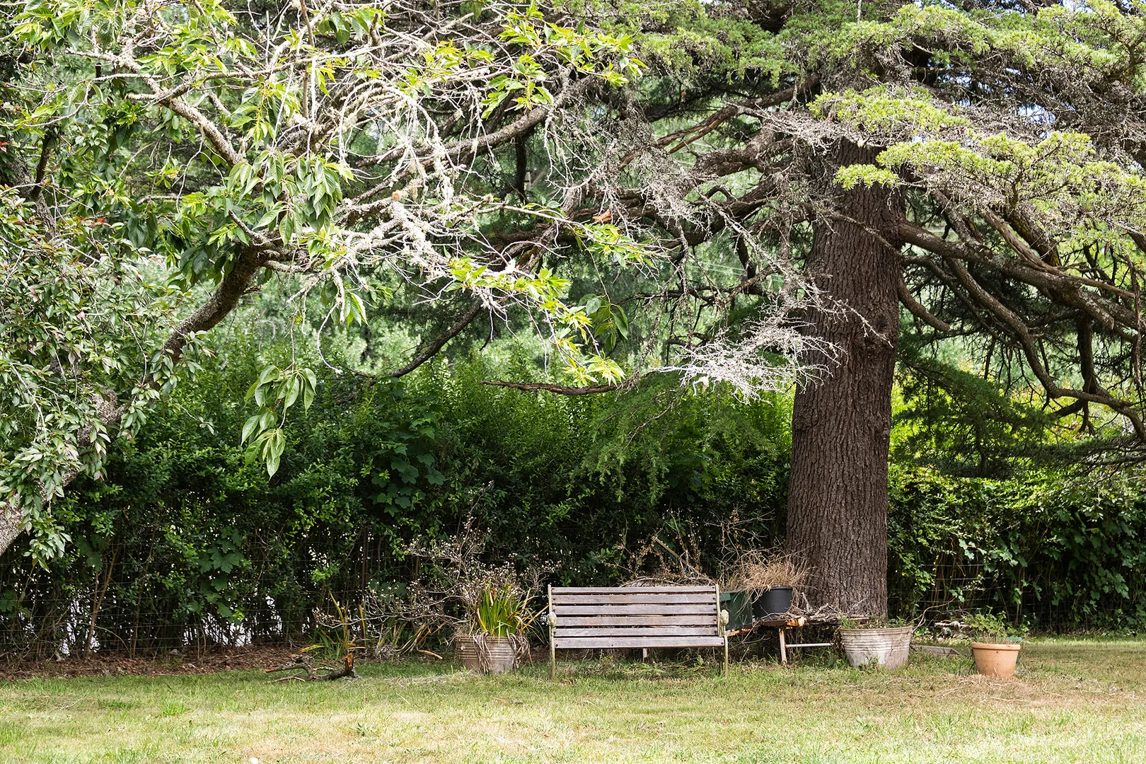 Additional image 14 of 85 Ringwood Road, Exeter NSW 2579