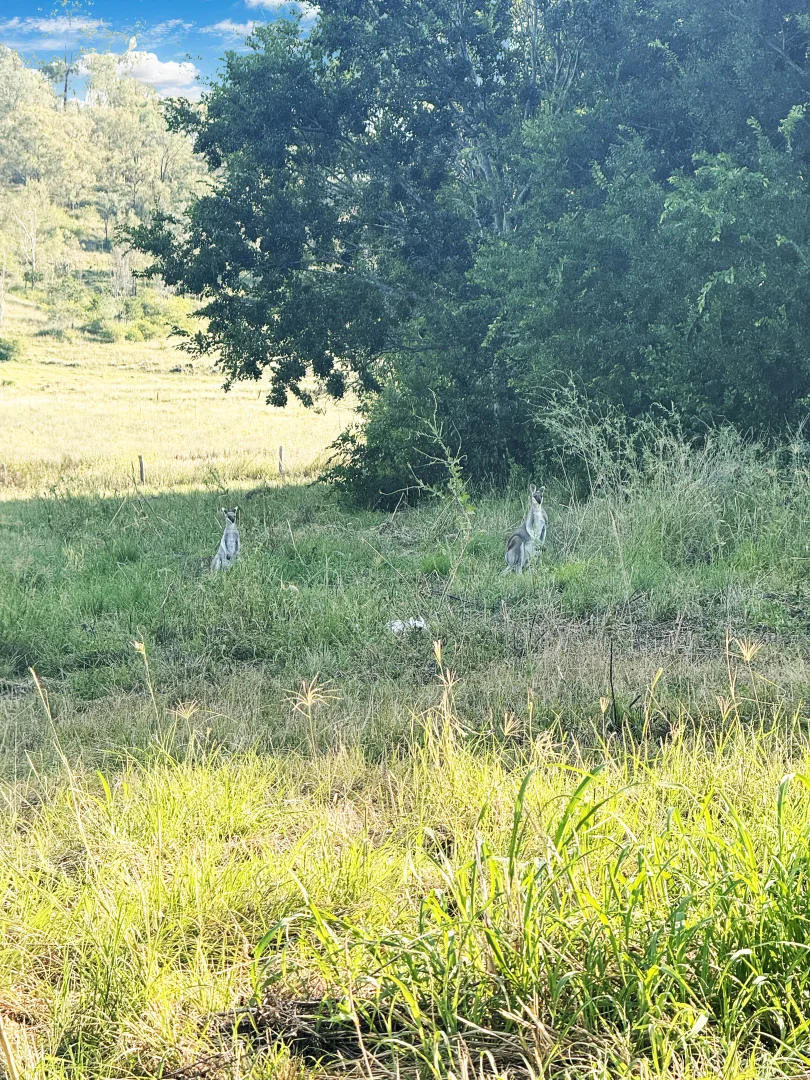 Additional image 6 of Burnett Highway, Goomeri QLD 4601