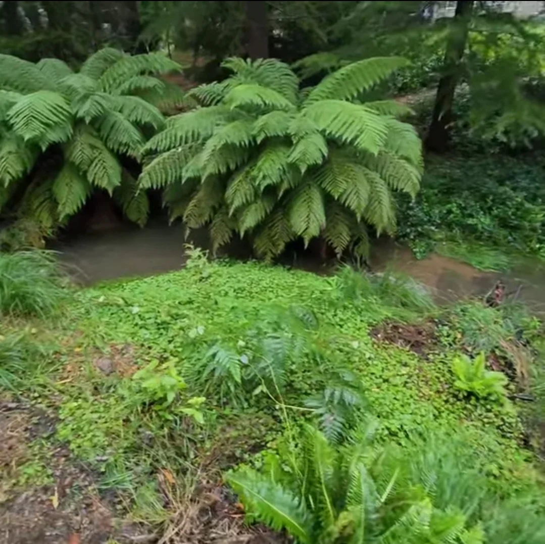 Additional image 11 of 51 Doctors Gap Road, Doctors Gap NSW 2790