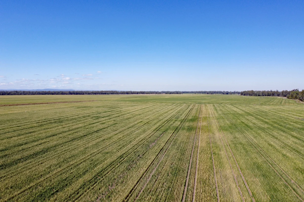 Additional image 7 of "Edenbelle" Lake Pleasant Road, Goovigen QLD 4702