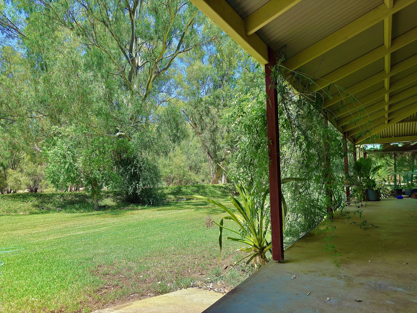 Additional image 3 of 506 North Forbes Rd, Condobolin NSW 2877