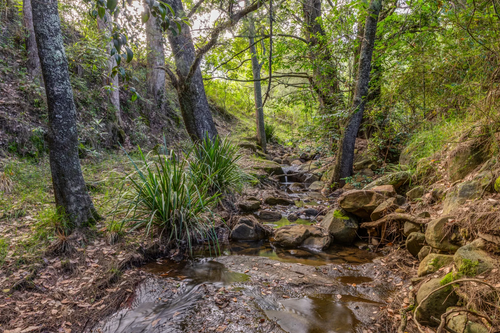 Additional image 23 of 1012 Boonabilla Road, Gresford NSW 2311