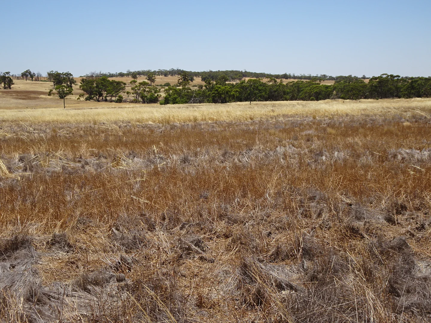 Additional image 19 of 160 Chittleborough Road, Brookton WA 6306