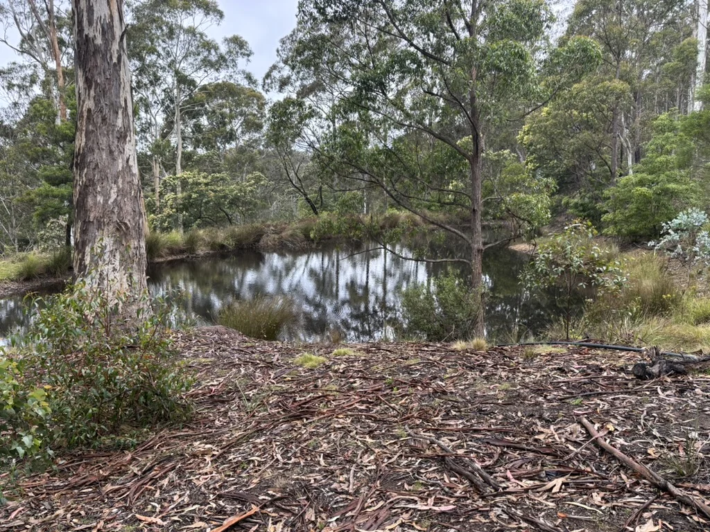 Additional image 21 of Devils Hole Road, Devils Hole NSW 2550