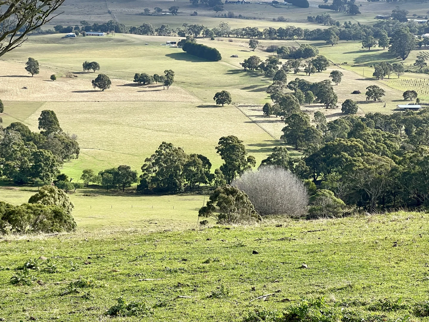 Additional image 25 of Red Gap Road/Fagans Lane, Goldie VIC 3435