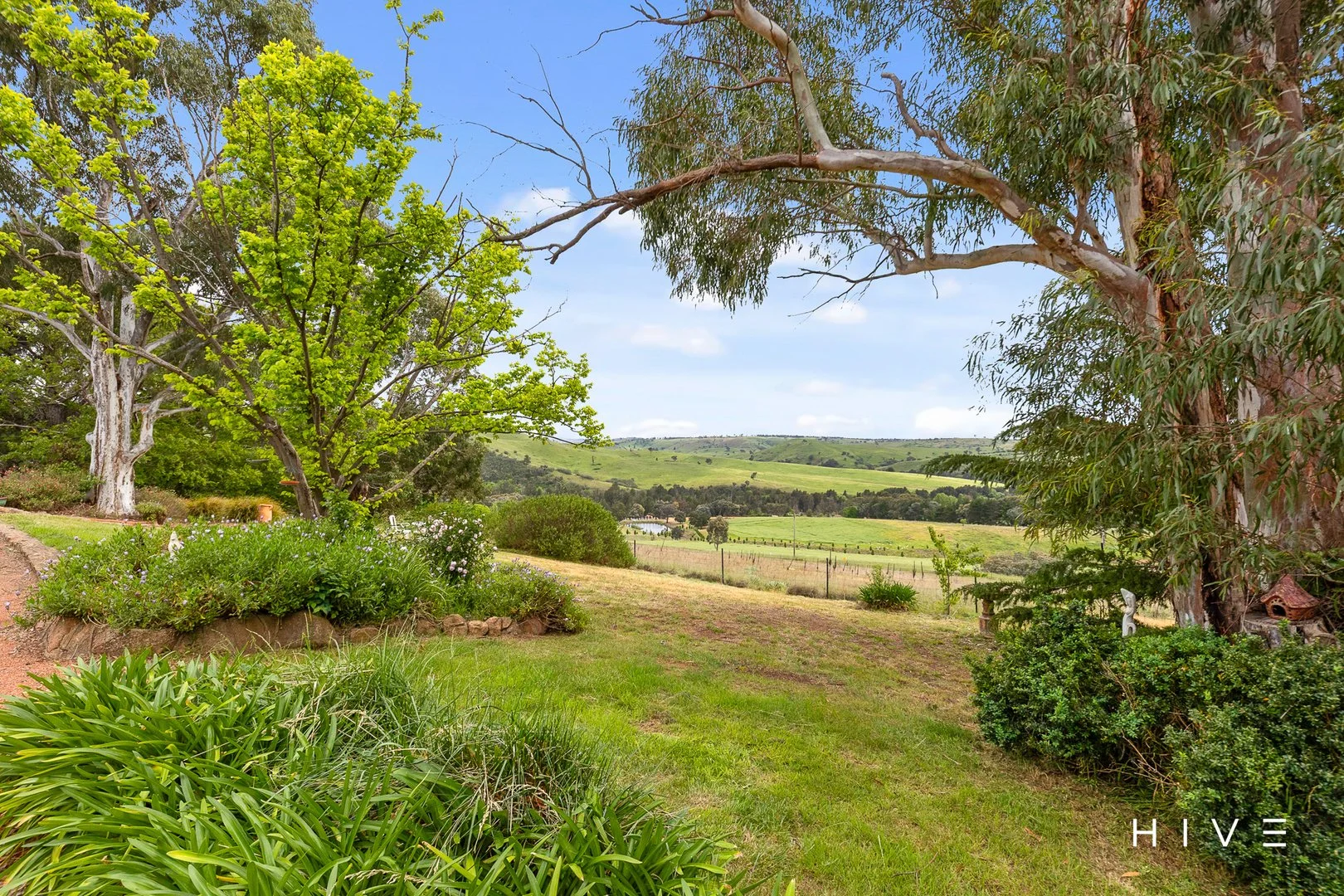 Additional image 25 of 81 McCarthy Road, Wallaroo NSW 2618