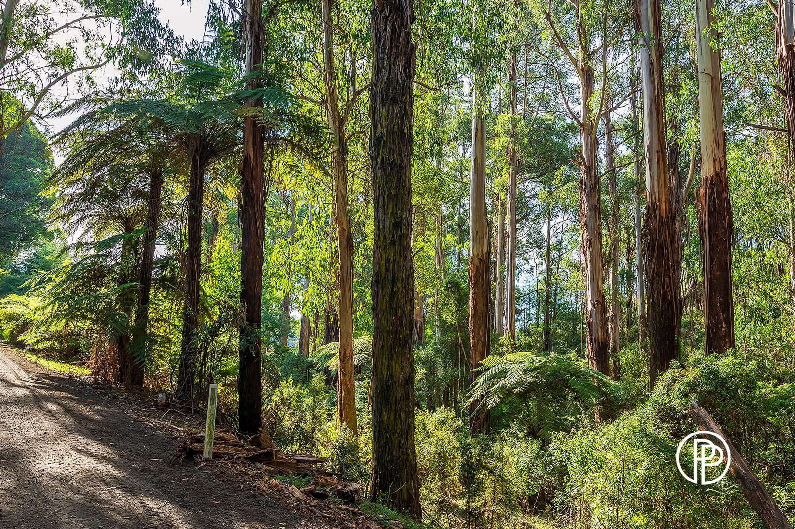 Additional image 15 of 330 Prices Road, Gladysdale VIC 3797