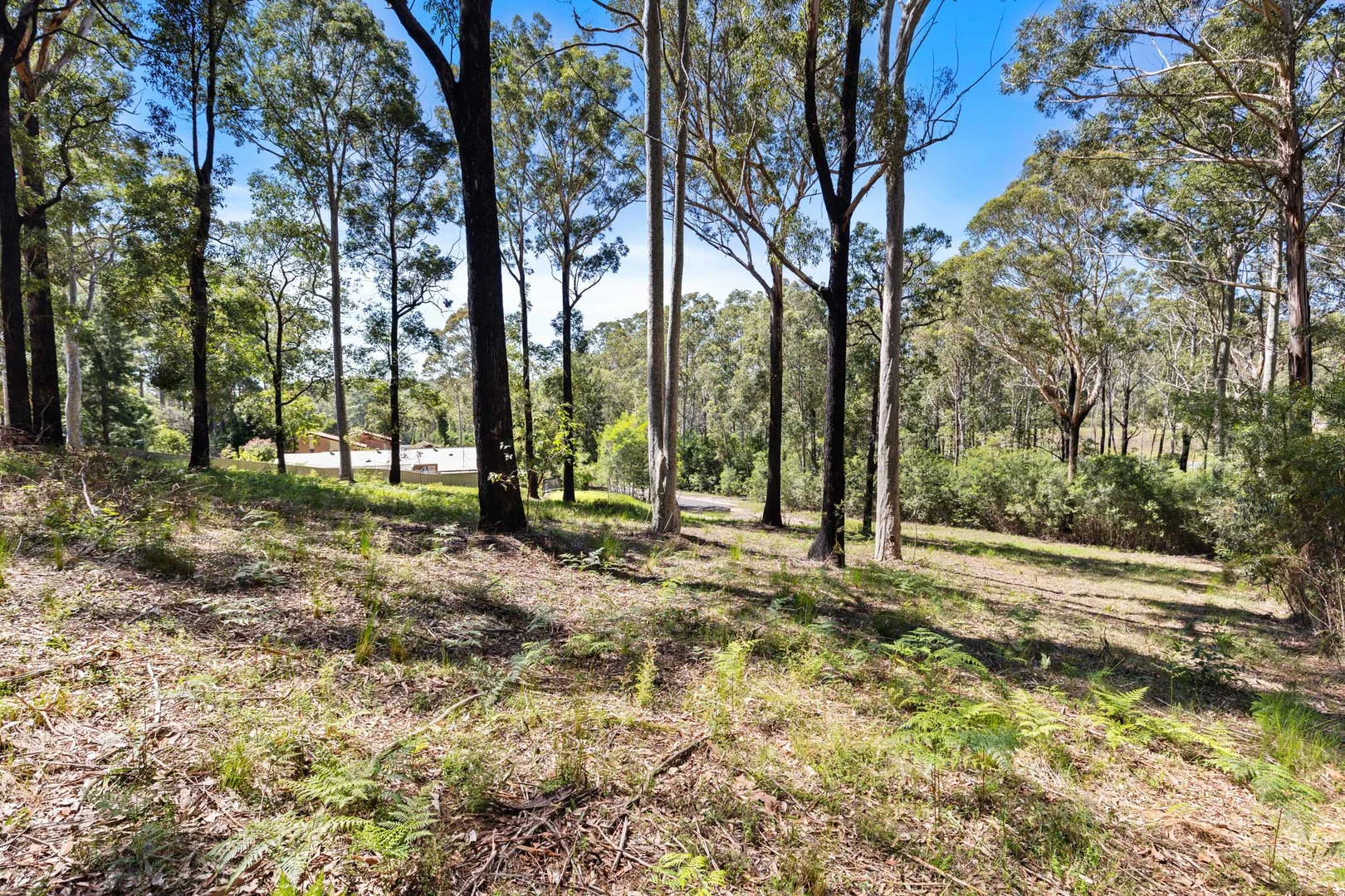 Additional image 10 of Surf Beach NSW 2536