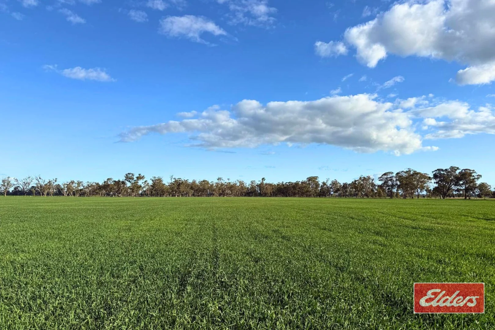 Additional image 43 of 490 Neal Road, Undera VIC 3629