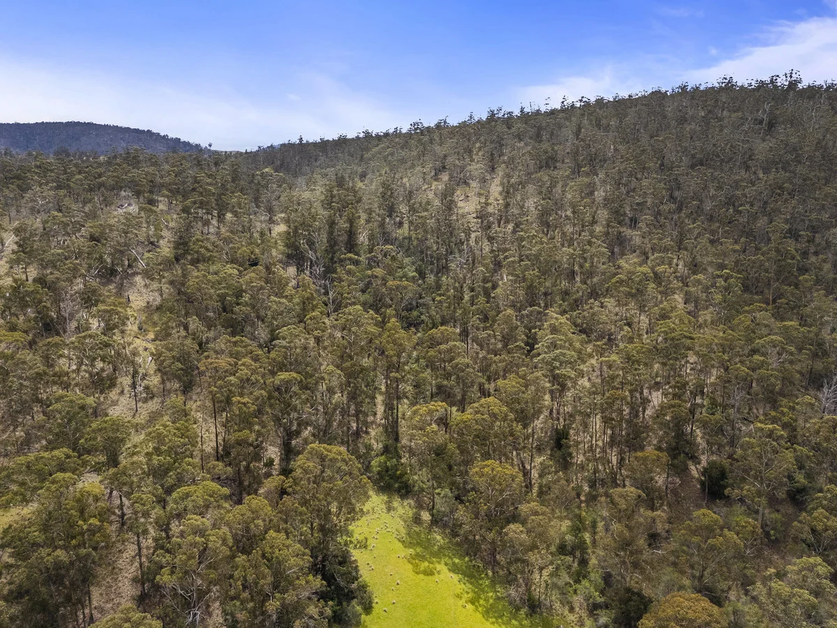 Additional image 11 of Leprena Road, Orielton TAS 7172