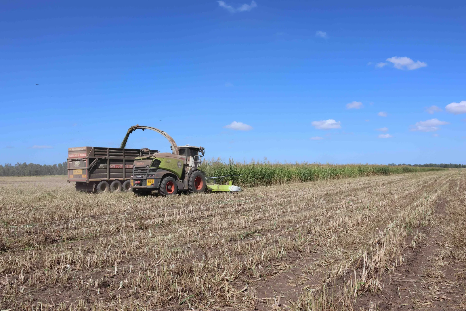 Additional image 14 of Springsure QLD 4722