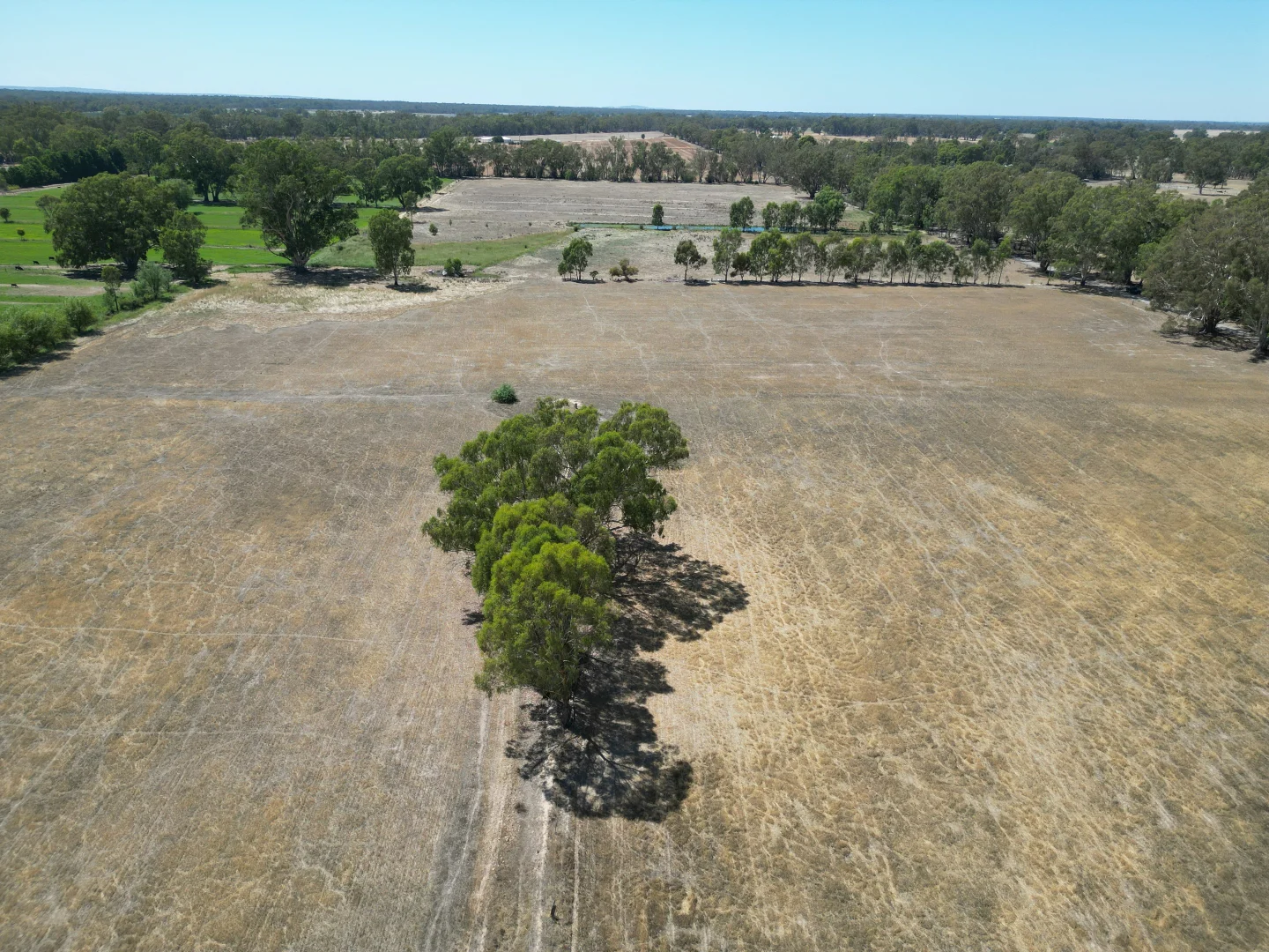 Additional image 10 of Allotment 5, 72 Friesian Rd, Koonoomoo VIC 3644
