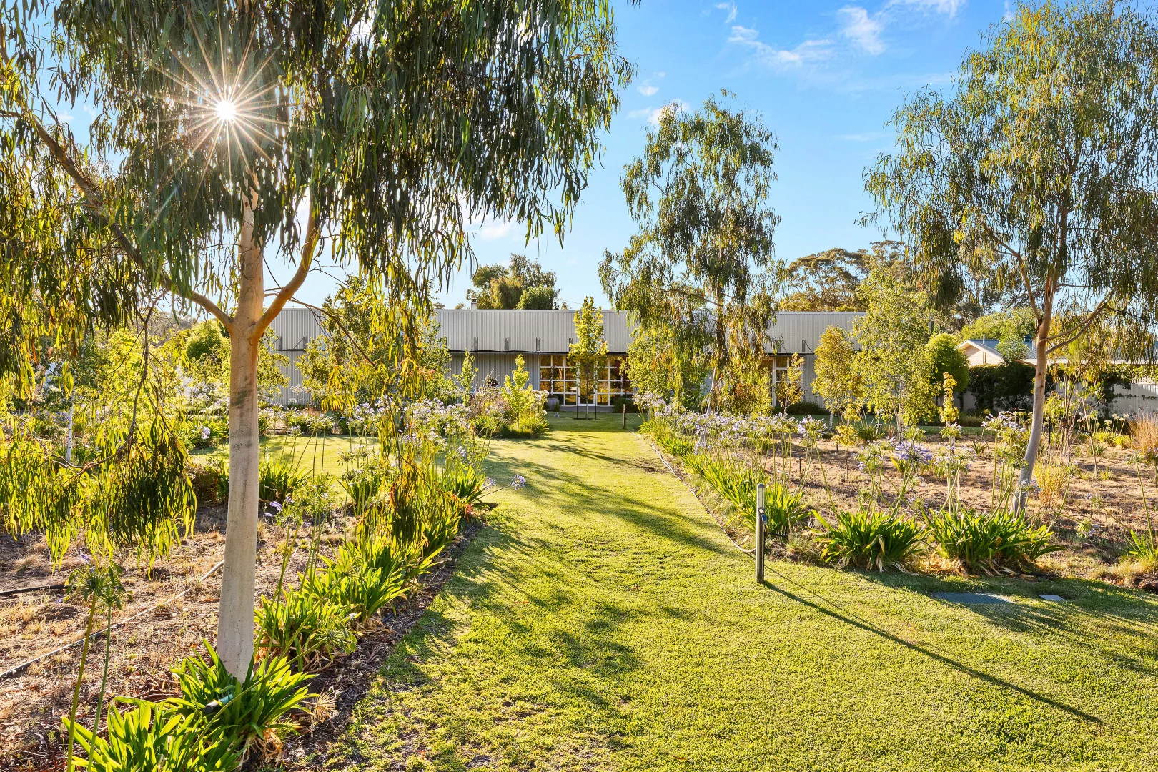 13 Emily Street, The Rock NSW 2655