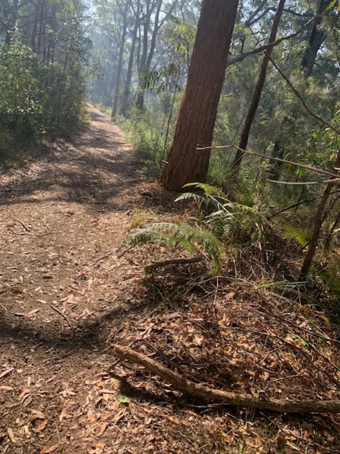 Additional image 7 of Lot 759 DP 13400 (10) City Crescent, North Arm Cove NSW 2324