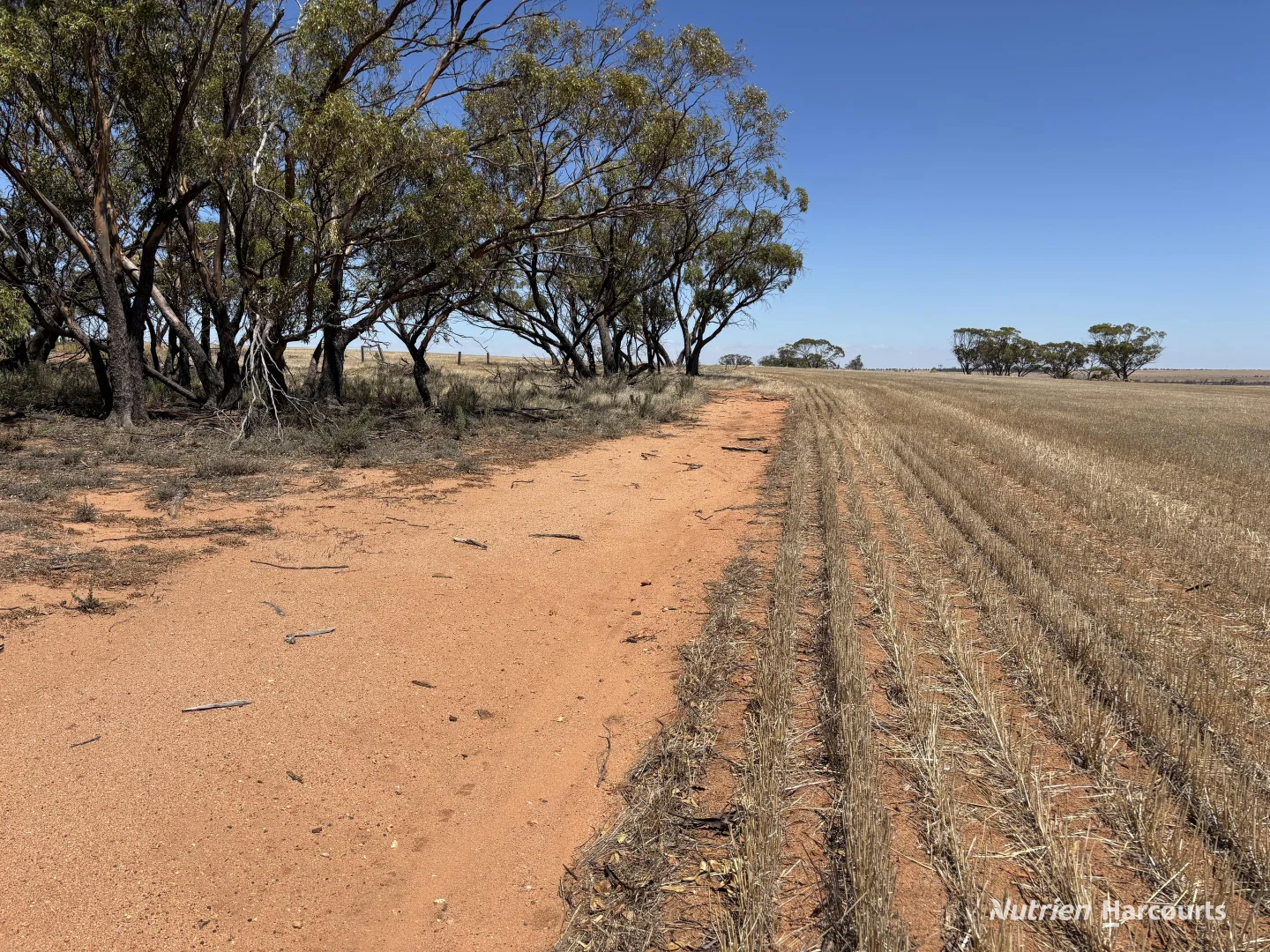 Additional image 2 of . 'Jurocken & Corrylyn', Dowerin WA 6461