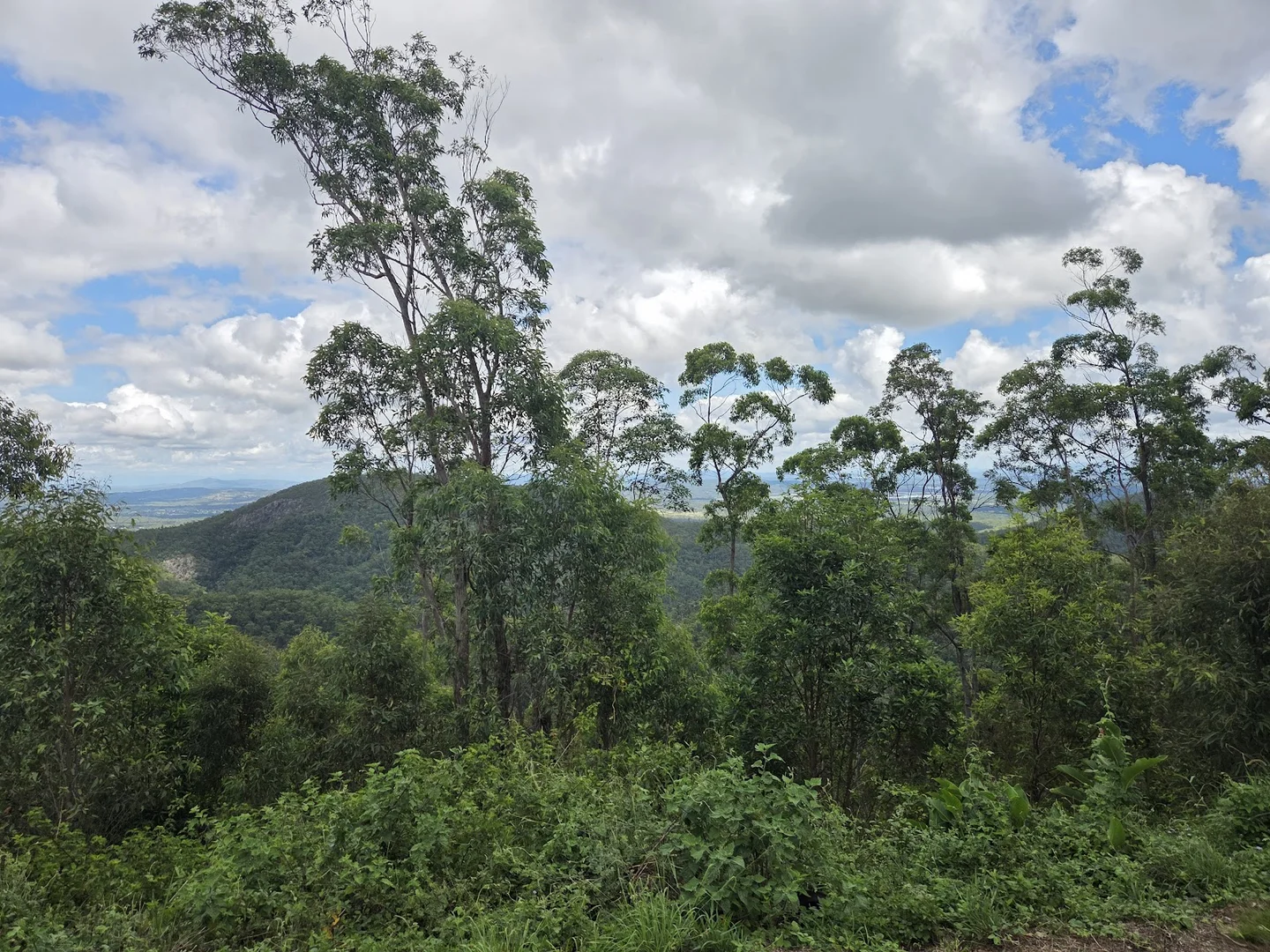 Additional image 4 of 1610 Tamborine Oxenford Road, Wongawallan QLD 4210