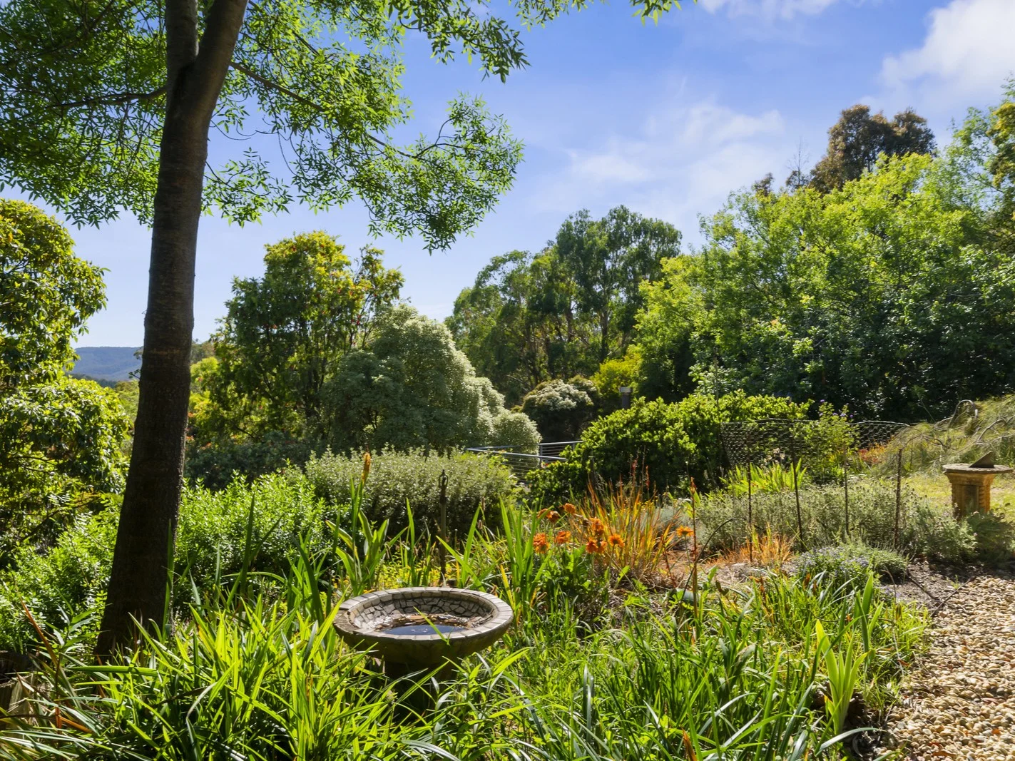 Additional image 2 of 486 Mitchell Road, Tatong VIC 3673