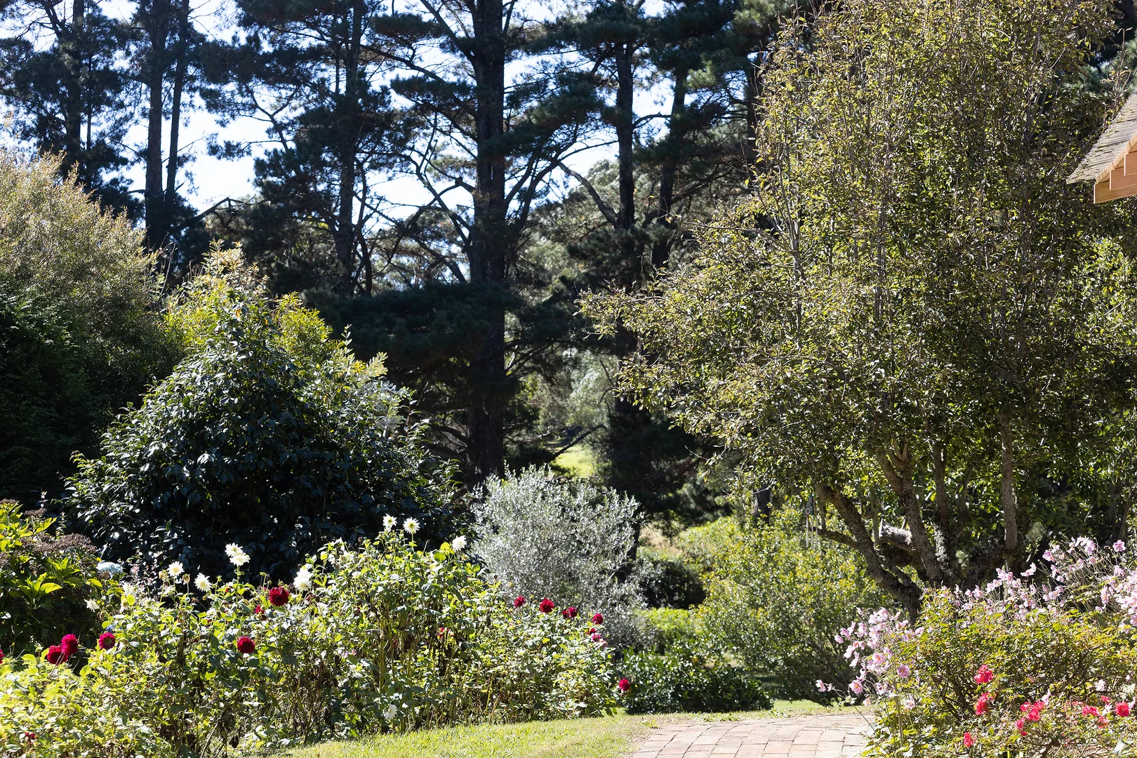 Additional image 19 of 81 Pearsons Lane, Robertson NSW 2577