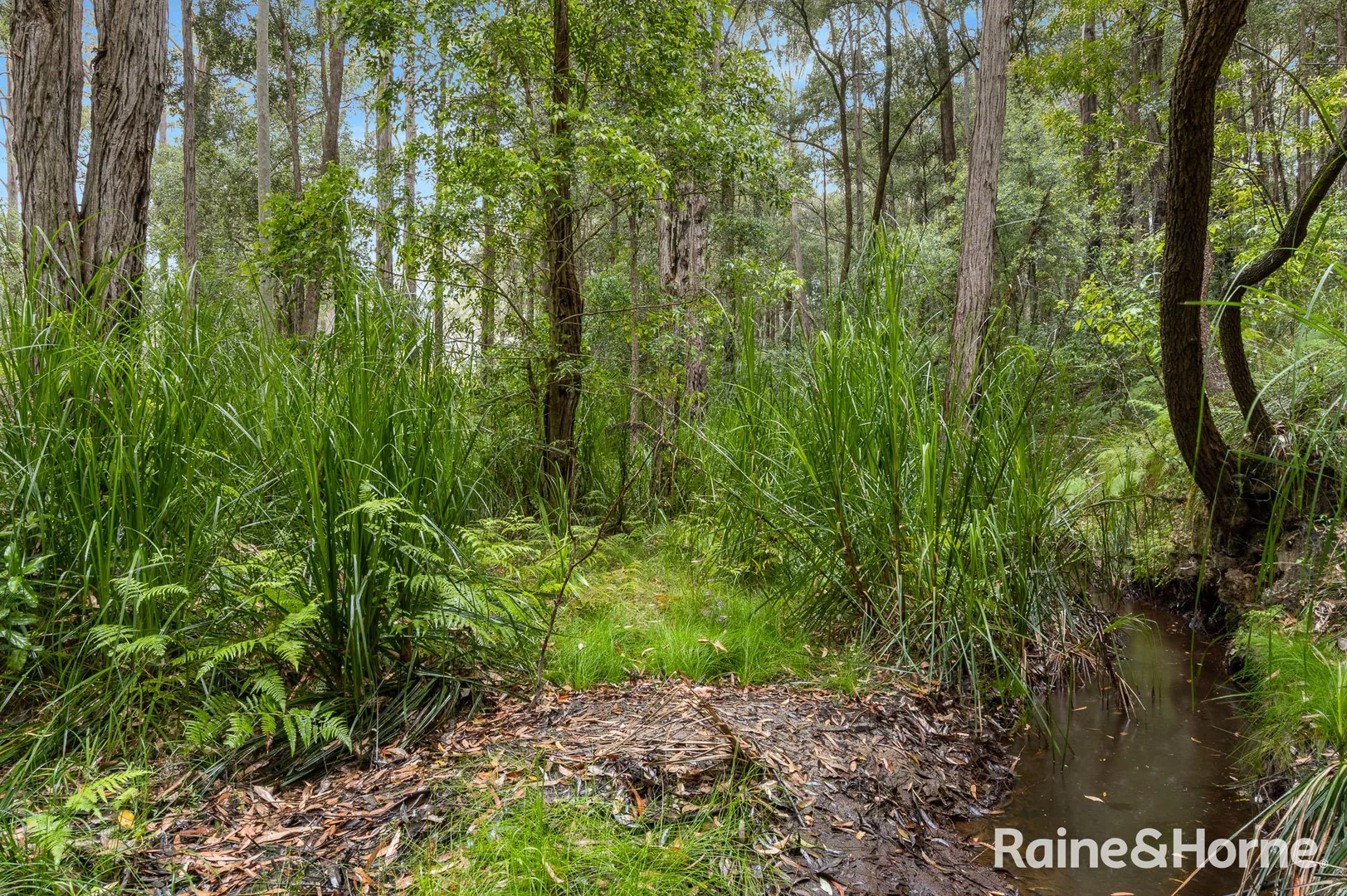 Additional image 5 of 49a Woollamia Road, Falls Creek NSW 2540