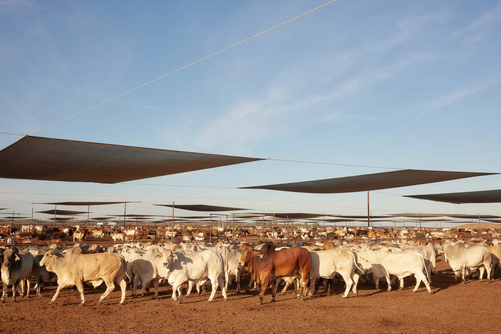 Additional image 10 of 91 Mort Street, Toowoomba City QLD 4350