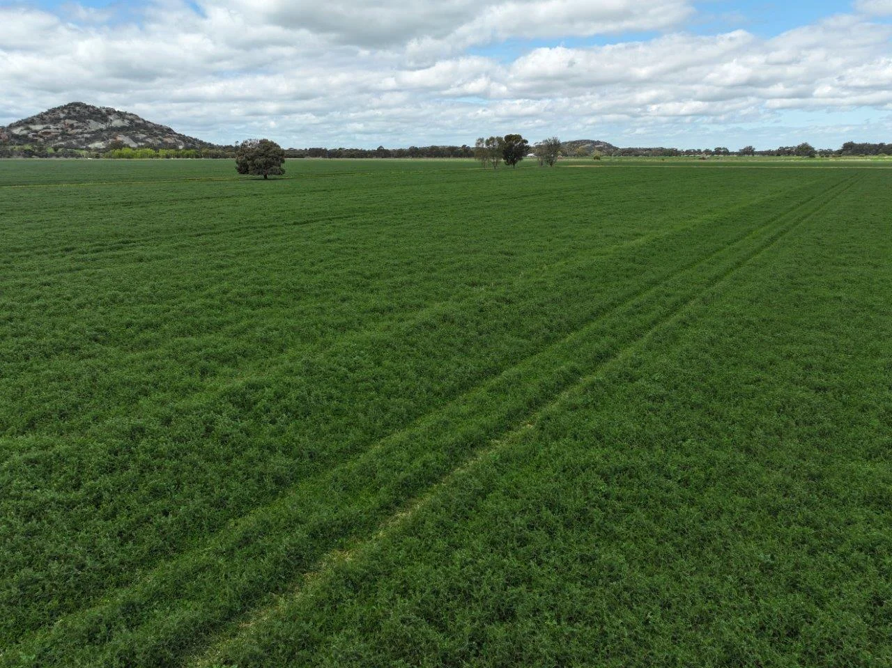 Additional image 26 of - Oneil Street, Pyramid Hill VIC 3575