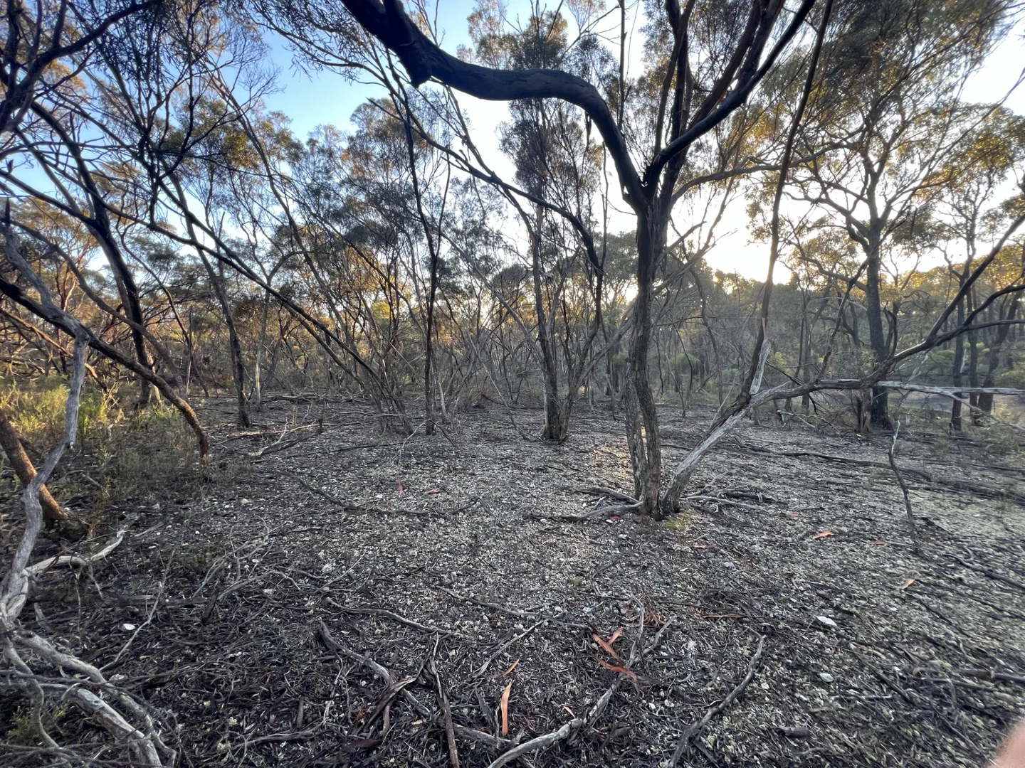 Additional image 9 of 373 Josephine Drive, Wedderburn VIC 3518