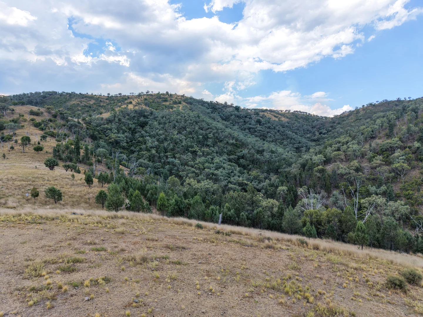 Additional image 18 of Lot 21 Gibraltar Road, Tenterfield NSW 2372