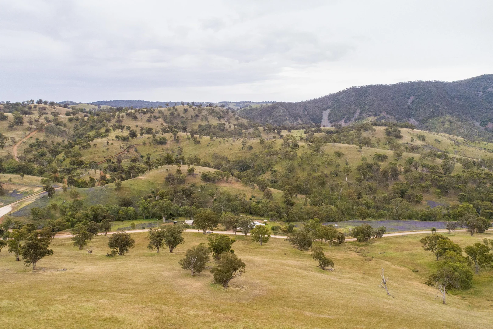 Additional image 29 of 1479 Survey Rd, Melrose SA 5483