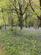 Additional image 22 of Heligan House, St. Austell PL26