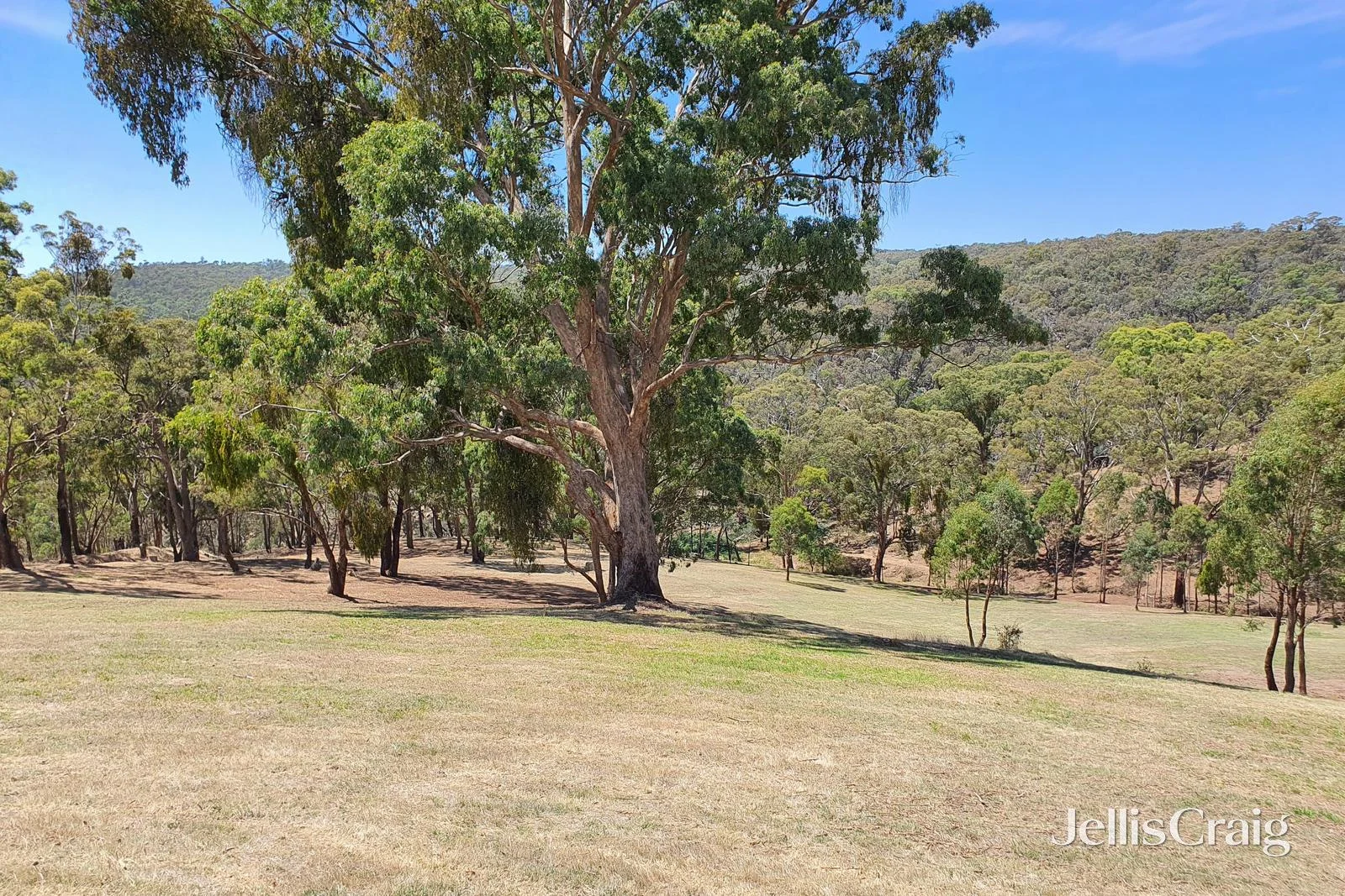 Additional image 18 of 153 Charlies Road, Elevated Plains VIC 3461