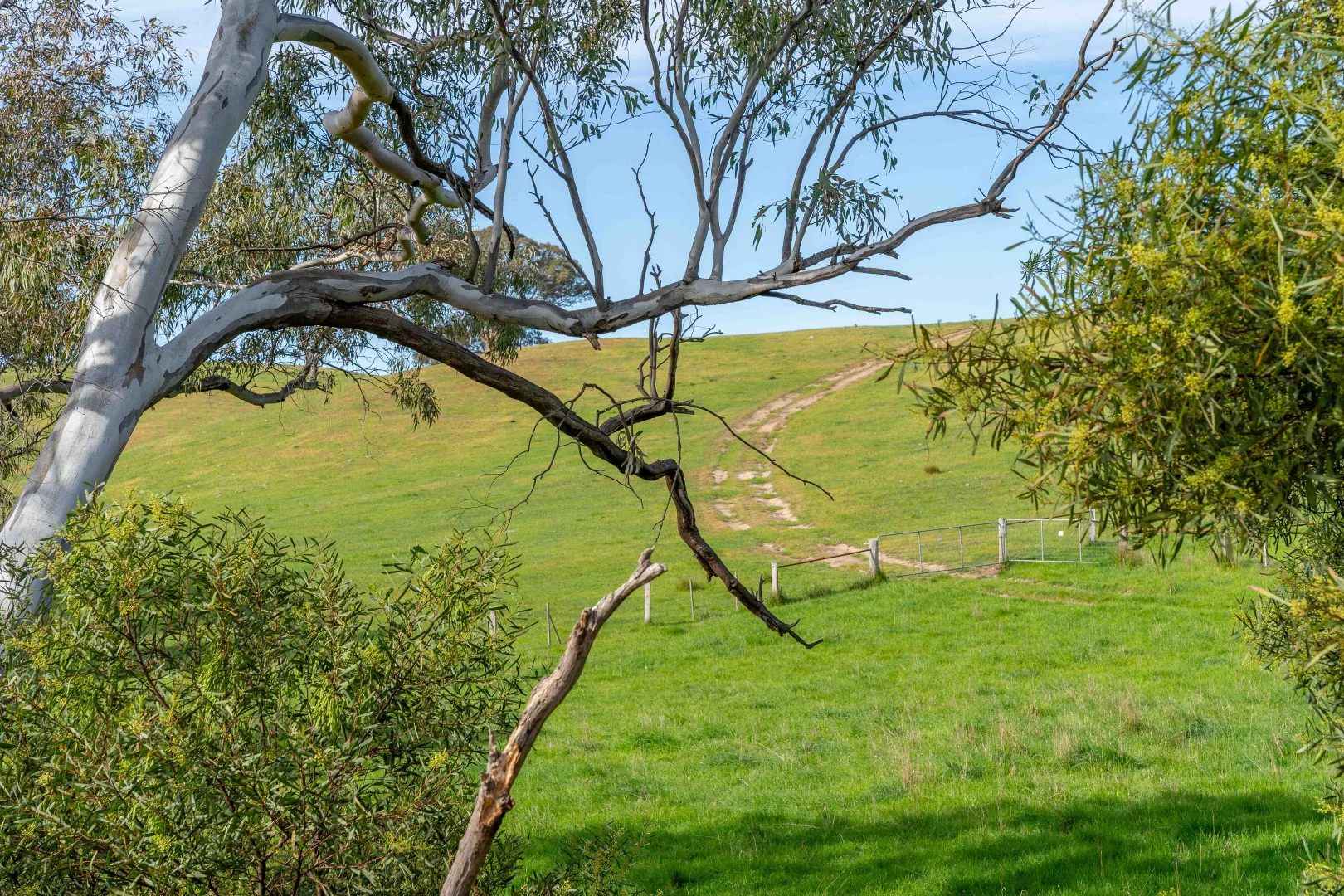 Additional image 6 of 362 Watchbox Road, Barfold VIC 3444